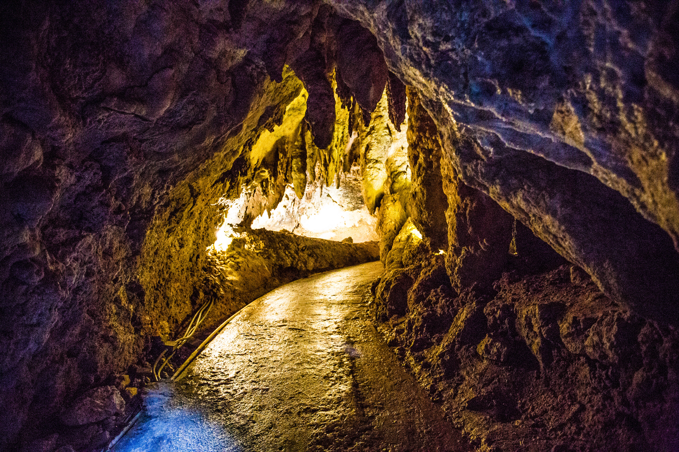 Rio Camuy Cave Park